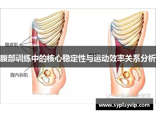 腹部训练中的核心稳定性与运动效率关系分析
